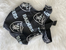 Load image into Gallery viewer, Raiders Dog Harness
